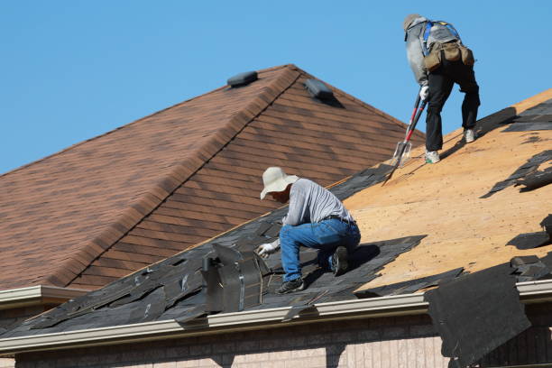 Trusted Laureles, TX Roofing service Experts